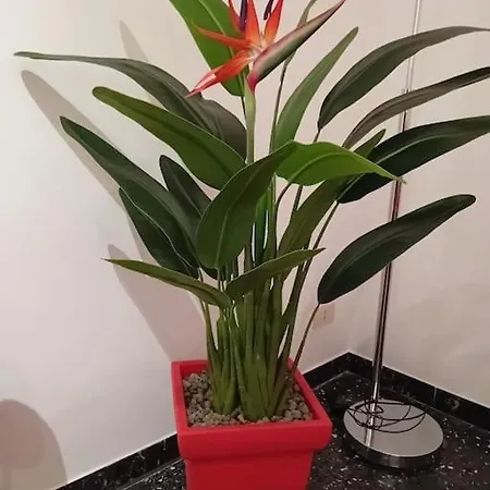 La Casa Di Azzurra Cod.citra 011015-lt-0171 *